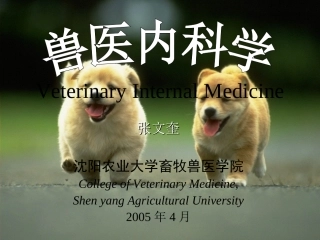 内科-消化系统反刍兽