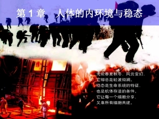 内环境稳态119