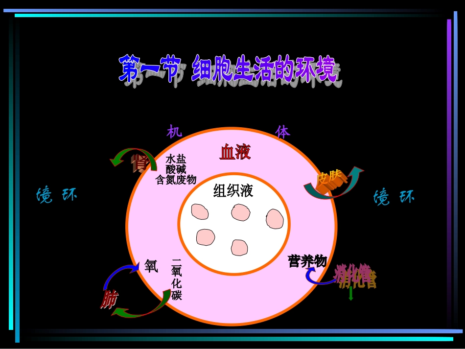 内环境和稳态(文科)_第1页