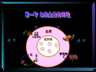 内环境和稳态(文科)