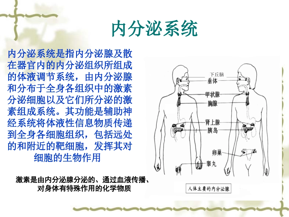 内分泌系统常见症状与体征资料_第3页
