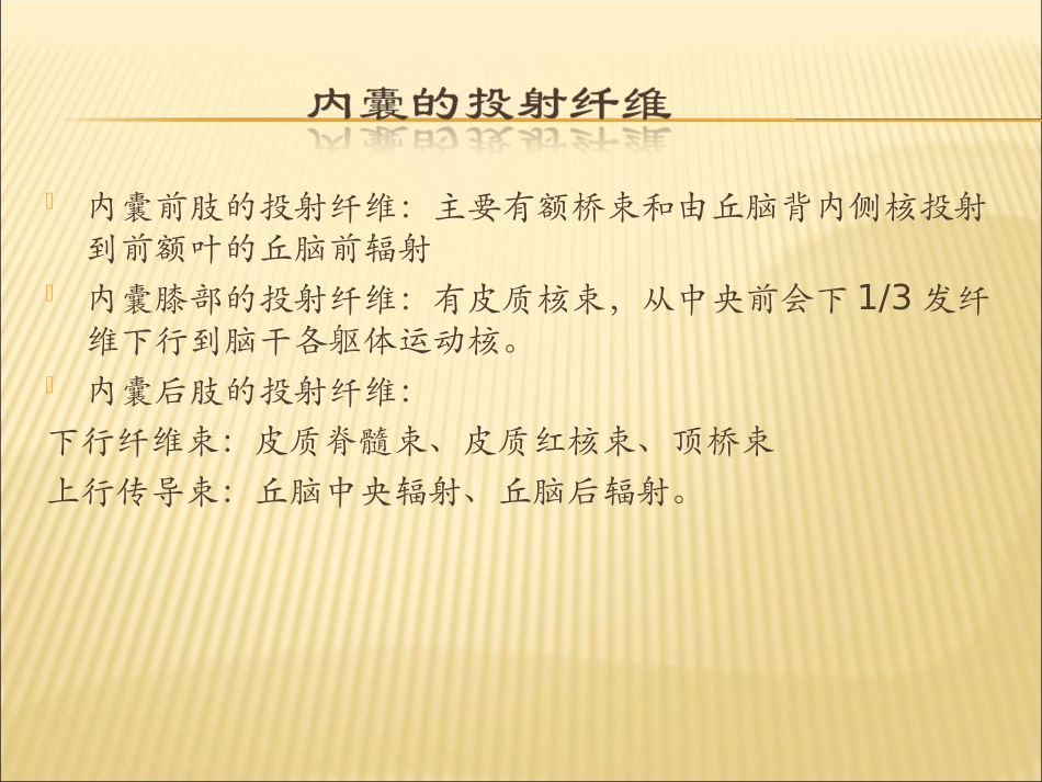 内囊损伤对传导通路的影响及三偏的原因_第2页
