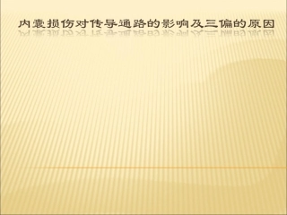 内囊损伤对传导通路的影响及三偏的原因