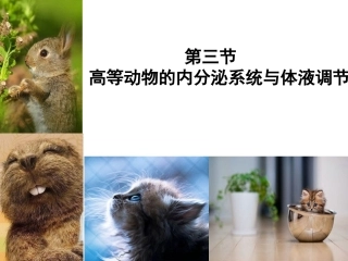 内分泌系统与体液调节(一)