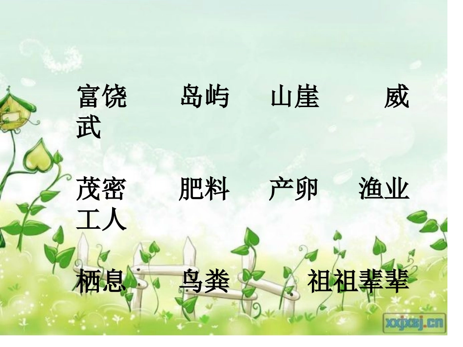 《富饶的西沙群岛_第2页