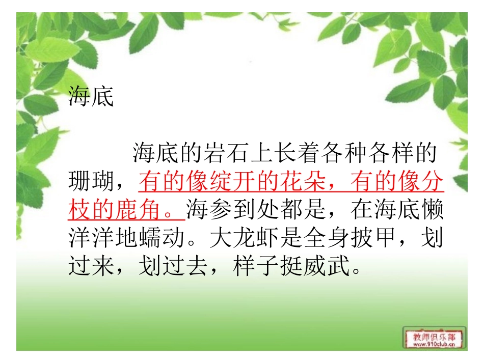 《富饶的西沙群岛_第3页