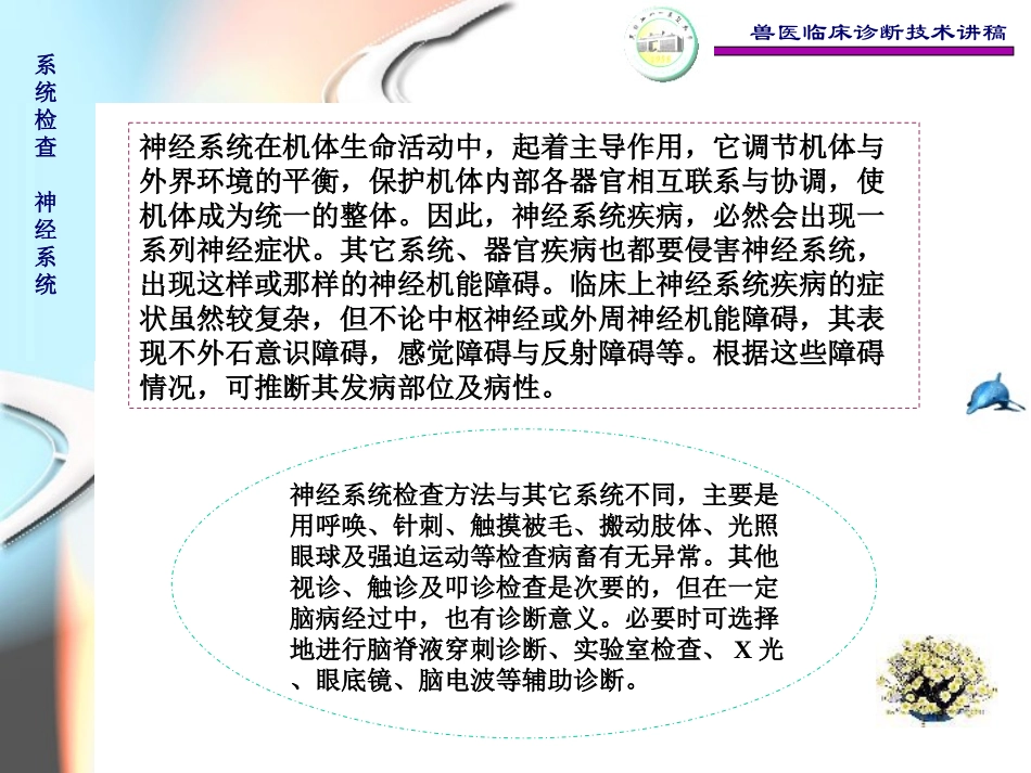 兽医临床诊断技术_第2页