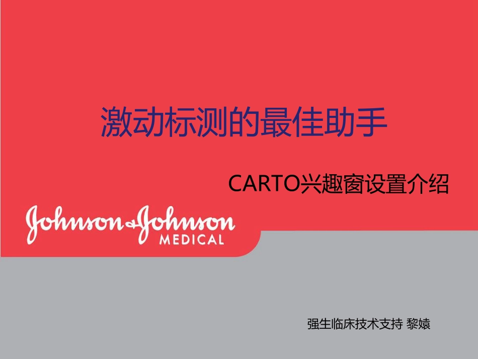 兴趣窗的设定 激动标测介绍_第1页