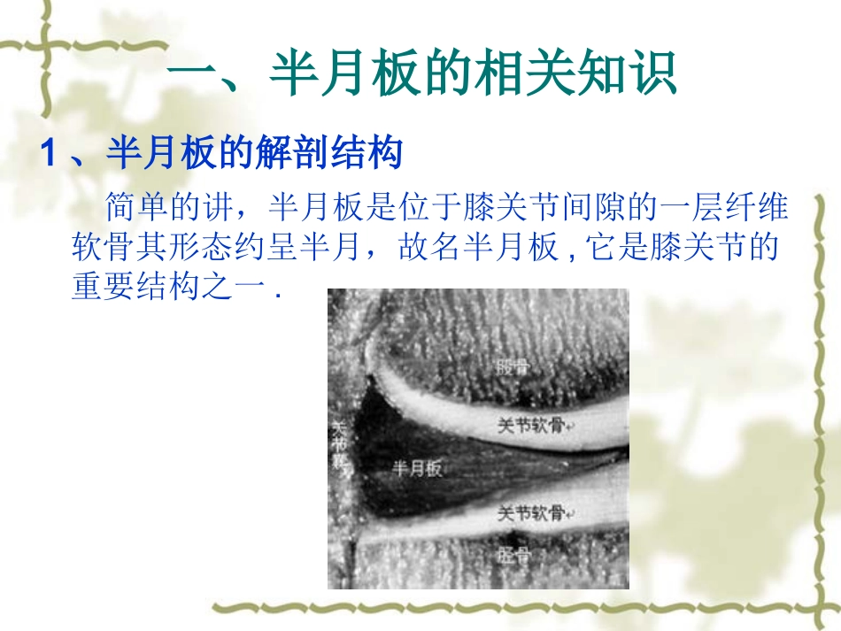 关节镜下半月板修_第3页