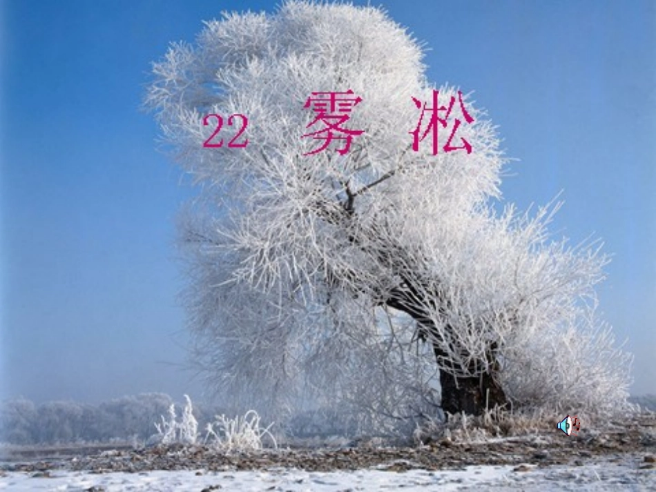 雾凇__教学课件_第1页