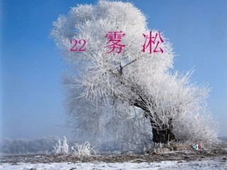 雾凇__教学课件