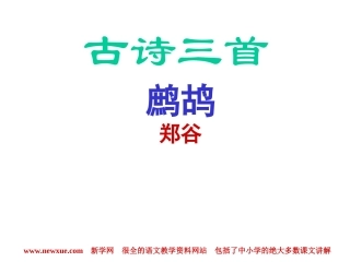 古诗三首鹧鸪PPT课件,郑谷