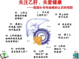 关注乙肝-关爱健康