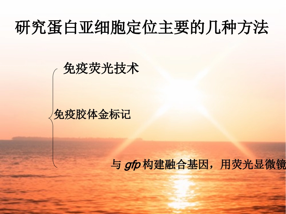关于研究蛋白质细胞定位的几种方法_第3页
