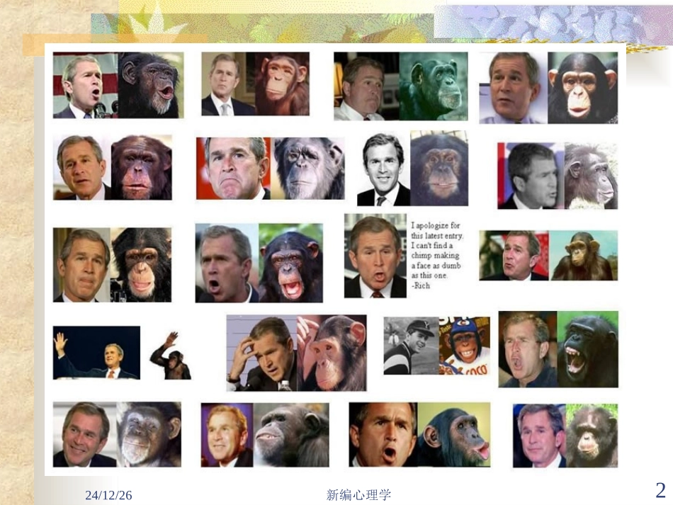 关于情绪的PPT_第2页