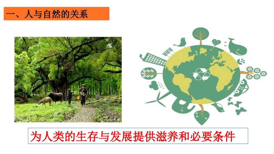 共筑生命家园_第2页