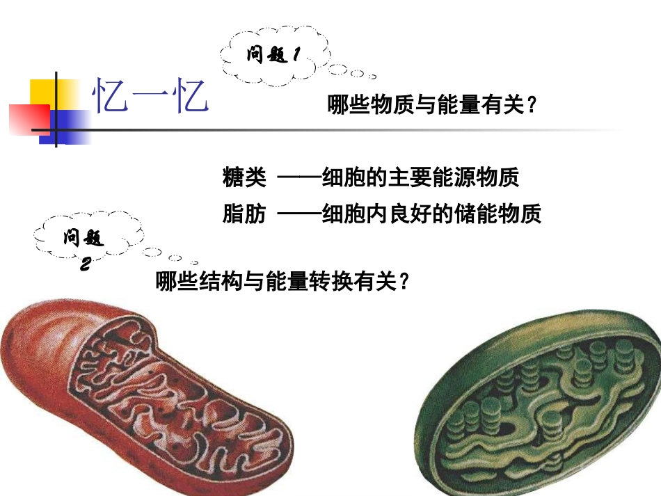 公开课细胞的能量通货ATP_第3页