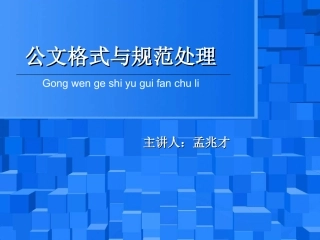 公文格式与规范处理ppt