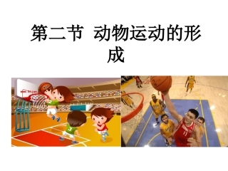 八年级上册骨的结构概要