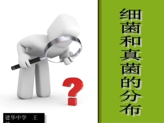 八年级人教上第四章第一节细菌和真菌的分布