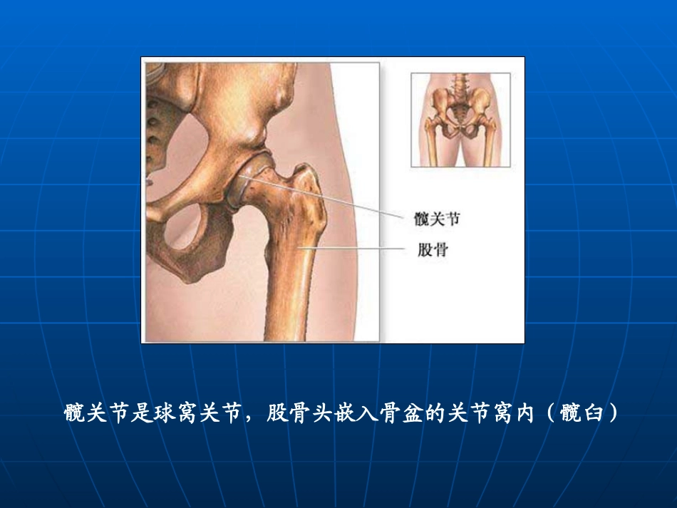 全髋关节置换术后康复训练修订版摘要_第3页