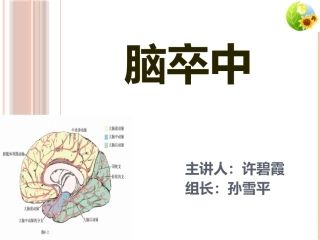全面认识脑卒中