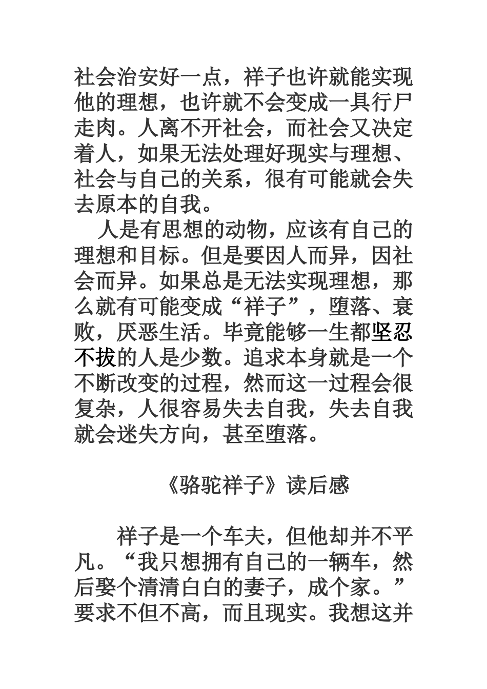 《骆驼祥子》读后感_第3页