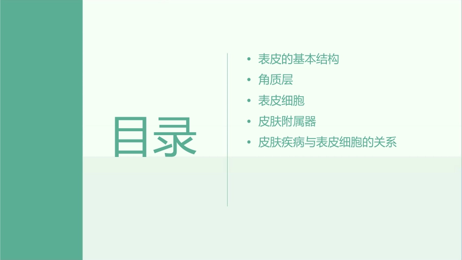 表皮的基本结构及细胞构成通用课件_第2页