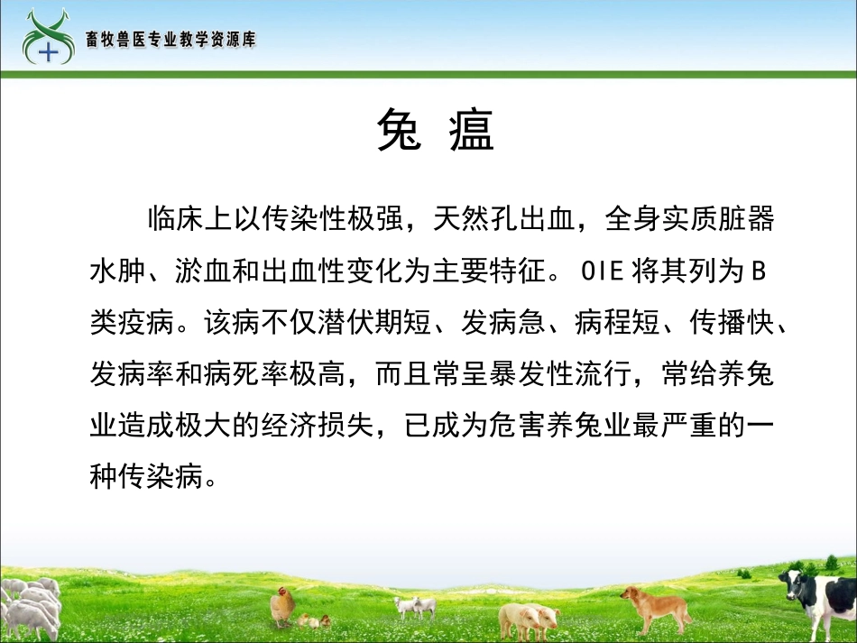 兔病防治-兔瘟._第3页