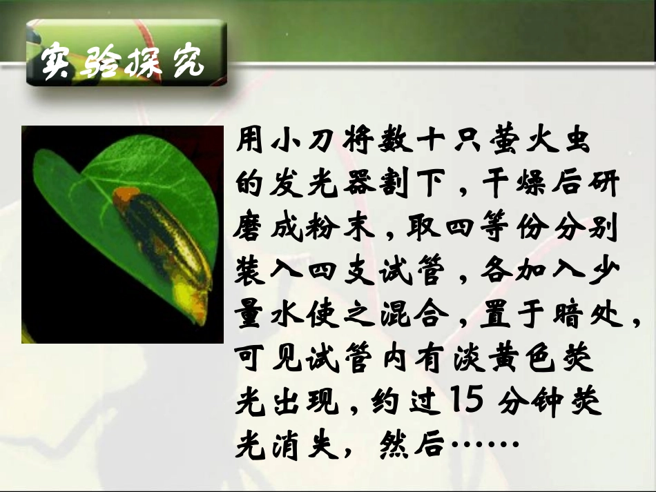免费细胞能量通货ATP新课_第2页
