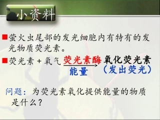 免费细胞能量通货ATP新课