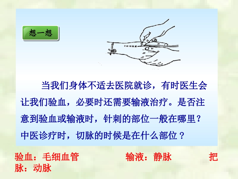 血流的管道——血管_第2页