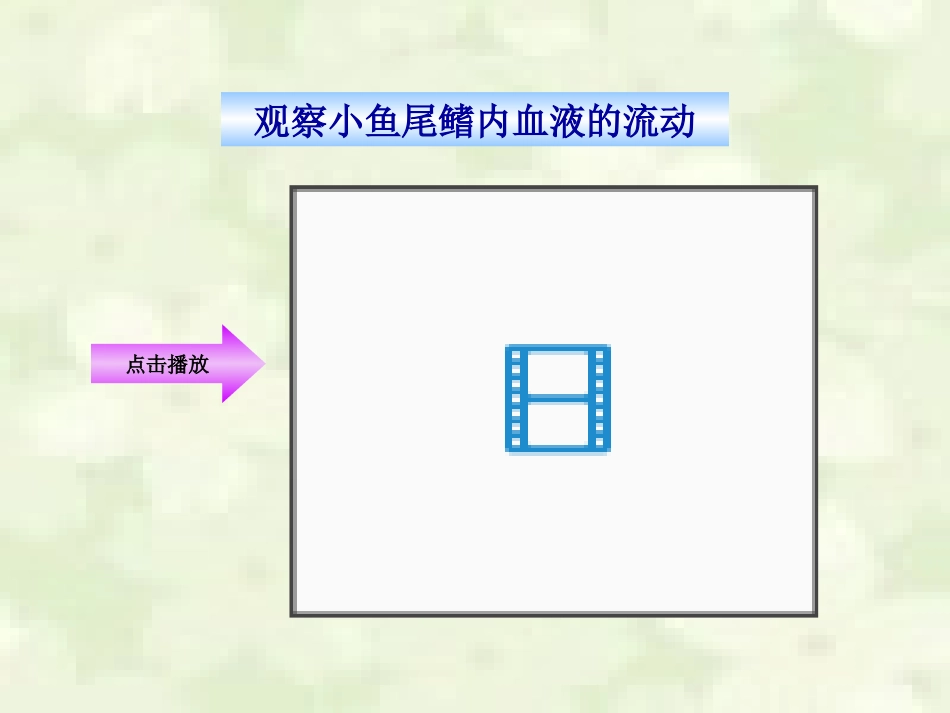血流的管道——血管_第3页