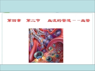 血流的管道——血管