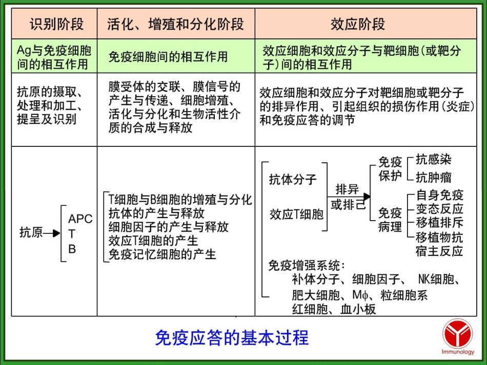 免疫学--白细胞分化抗原_第2页