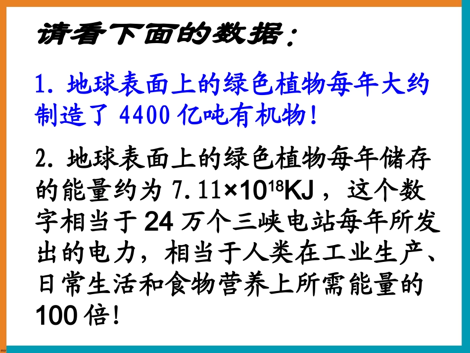 光合作用实验_第2页