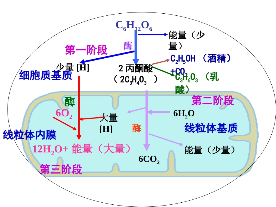 光合与呼吸典型高考题分析_第2页