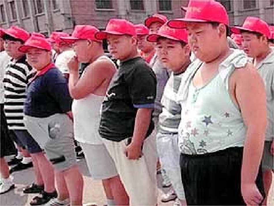 儿童青少年营养膳食_第2页