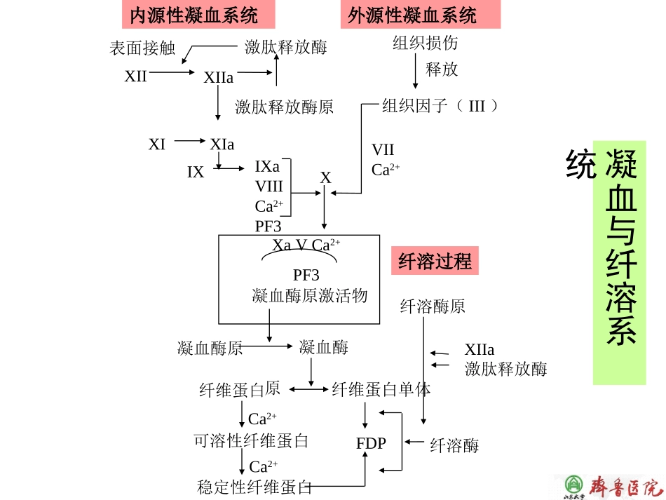 儿童获得性凝血障碍1_第3页