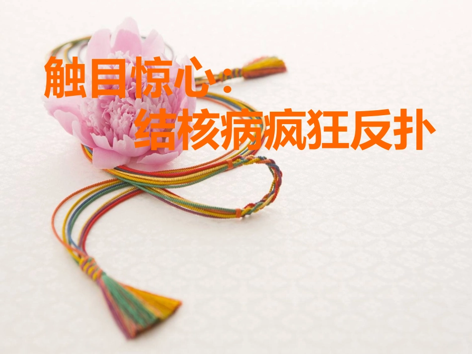 儿童结核病.ppt_第2页