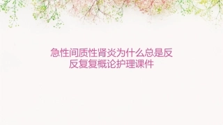 急性间质性肾炎为什么总是反反复复概论护理课件