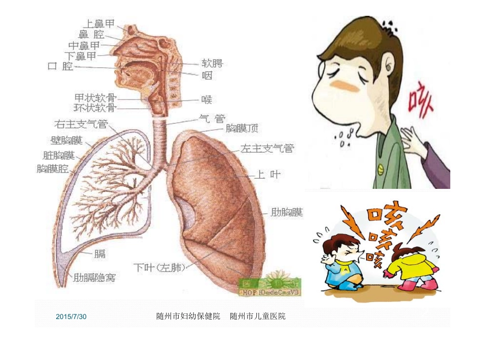 儿童慢性咳嗽诊断与治疗指南(2013年修订) [兼容模式]_第2页