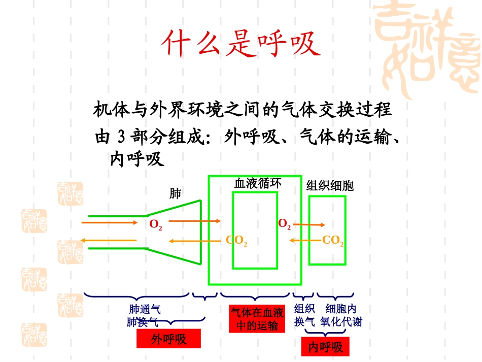 儿童呼吸衰竭与血气分_第2页