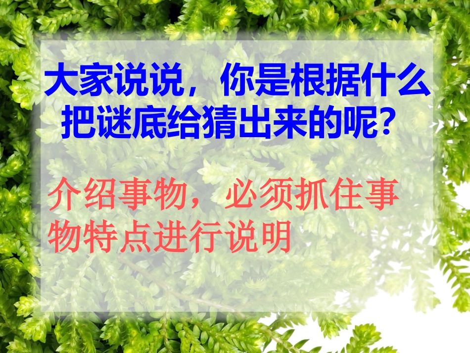 绿色蝈蝈PPT课件_第2页