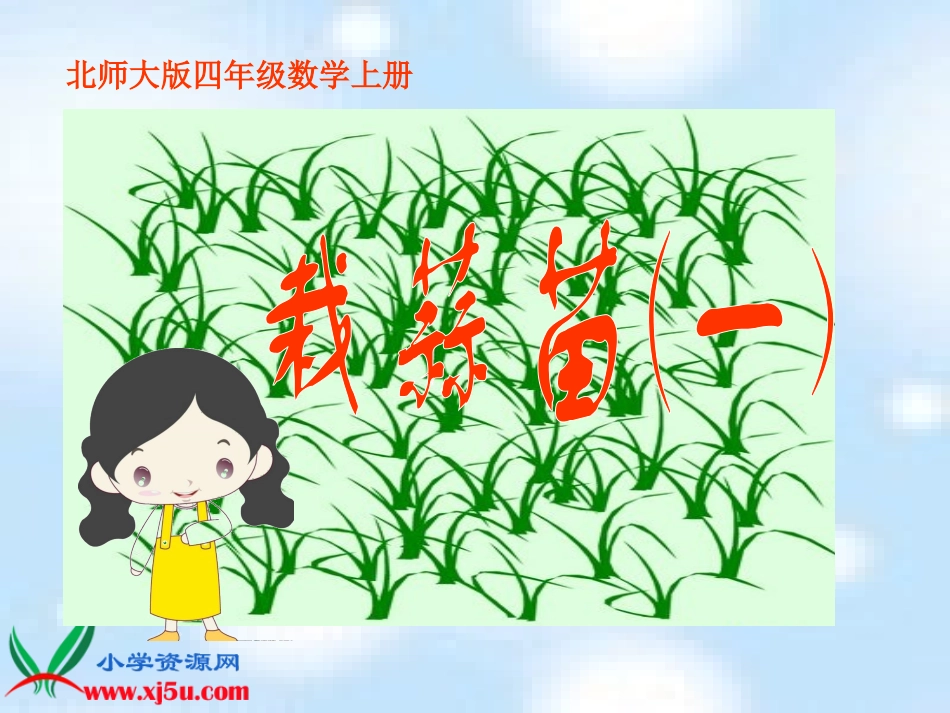 《栽蒜苗(一)课件_第1页