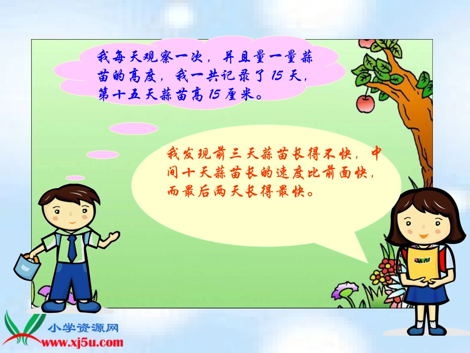 《栽蒜苗(一)课件_第3页