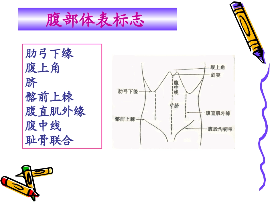 健康评估7.身体状况评估-3-腹部-58P_第3页