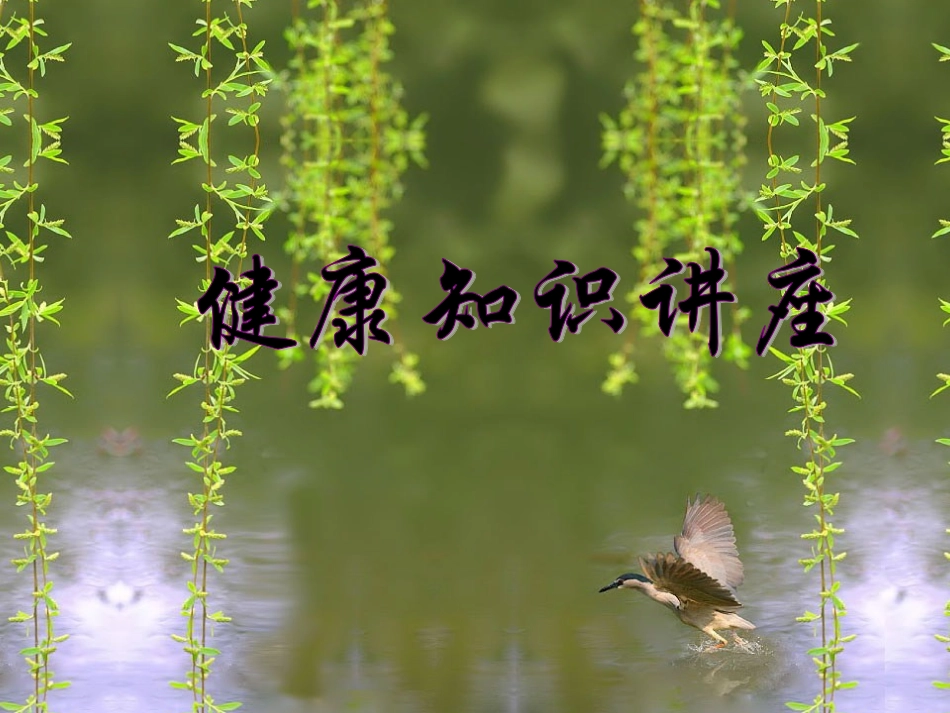 健康知识讲座123_第1页