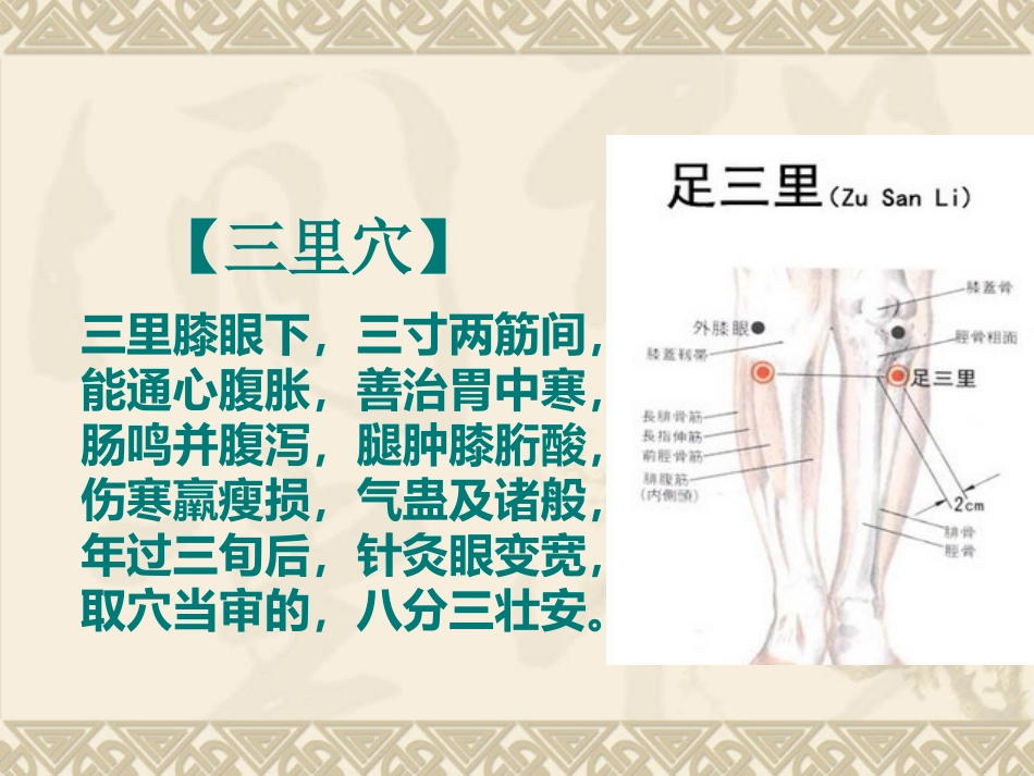 健康大讲堂—马丹阳天星十二穴_第3页