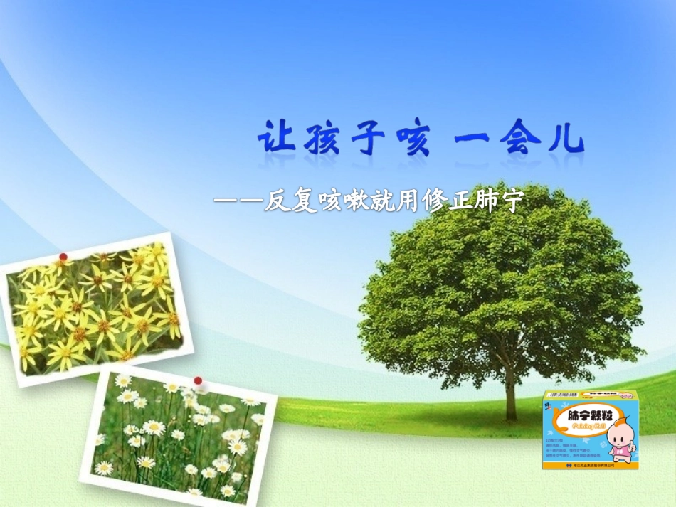 修正肺宁颗粒_第1页